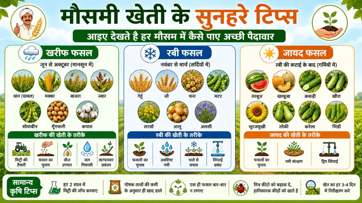 Golden Tips for Seasonal Farming: आइए देखते है हर मौसम में कैसे पाए अच्छी पैदावार 