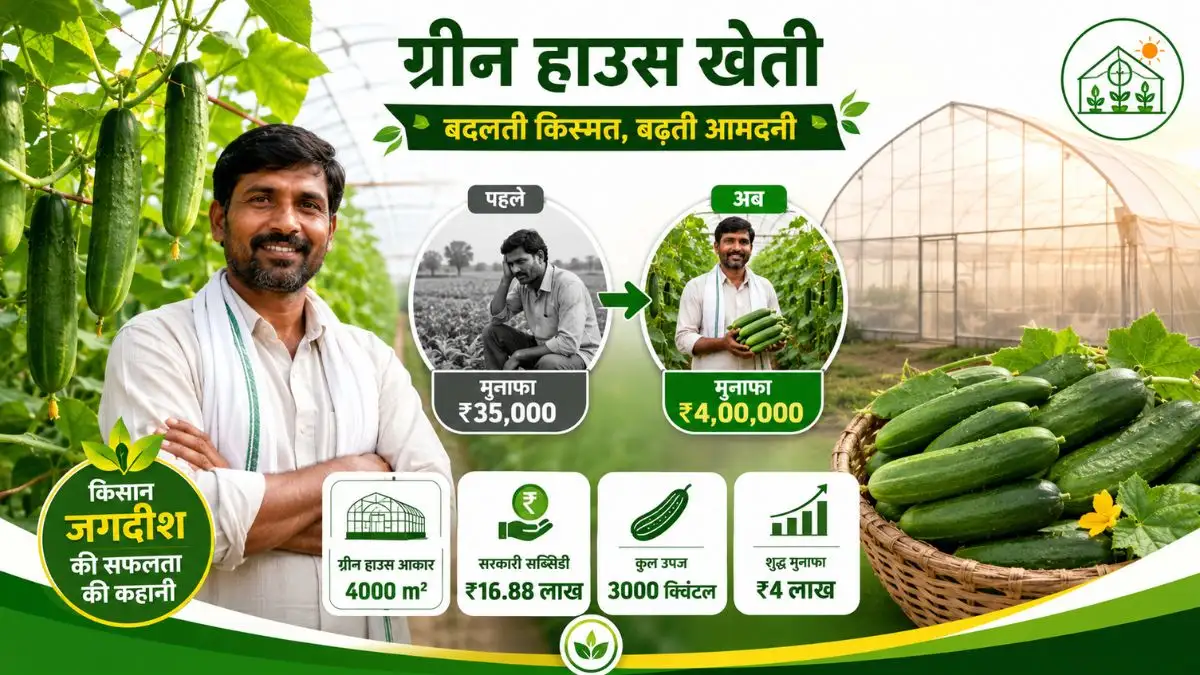 Green House Farming Success Story: ग्रीन हाउस फार्मिंग ने बदली किसान जगदीश की तकदीर, अब कमा रहे हैं 4 लाख का मुनाफा