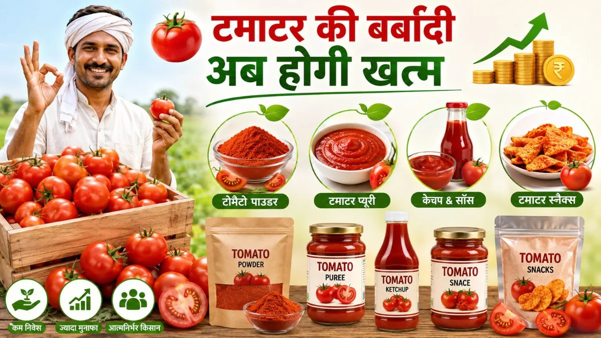No More Tomato Wastage (टमाटर की बर्बादी अब होगी खत्म): इन देसी-मॉडर्न फॉर्मूलों से किसान कमाएं दोगुना मुनाफा, फेंकने के बजाय बनाएं ये प्रोडक्ट्स