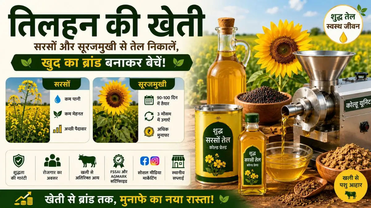 तिलहन की खेती (Oilseed Farming): सरसों और सूरजमुखी की खेती से तेल निकालें और खुद का ब्रांड बनाकर बेचें