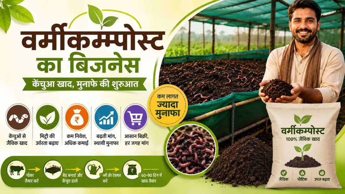 The Vermicompost Business: घर पर केंचुआ खाद बनाकर कैसे शुरू करें अपना स्टार्टअप?